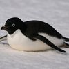 pengudamo