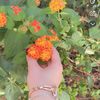 samah88288