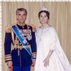 fatemeh.fallah61
