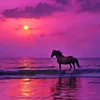 david.simunovic5