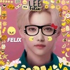 lee_felix0011