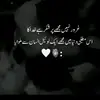 sardar.zaini