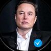 elonmuskl381