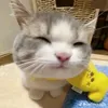 tramyvoanh__