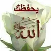 abla.loujaine.aim