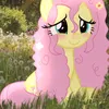 sirinelove17
