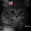 eman.elbarbary13