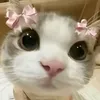 sofia.maria910