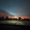 poppy_shankland