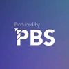 pbsichannel