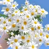 alialkalidy28