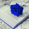 reyam.salim