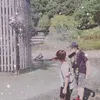 shibatayukari4