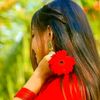 mim.islam34072