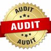 Audit Zone Shorts