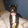 cosmindascalu59