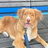 hemingwaythetoller