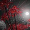 udi_naxyu4753