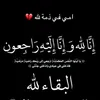sn_snb52