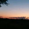 biratgg