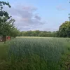 marlonleugers7273527