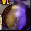 wi.wi.wi_wi.wi.wi