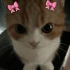 its_rinad24