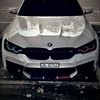 ziki_0012