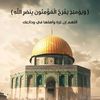 nabil.omar8
