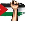 habiba.ahmed04600