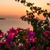 arwa.arwa825