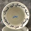 user15594919358203