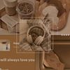 aya15.12.com