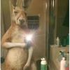 user6196393140174