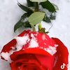 user9925188877659