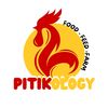 pitikology
