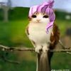 gene_10362