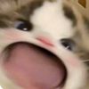 jdkn94