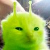 aswekme_