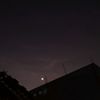 lanlenymoon05