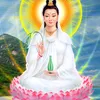 bo.minh330