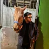 burhan.karahan80
