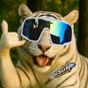 rozi.bjr