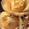 ali_fah2003