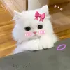 daohogthzm48
