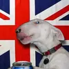 oi_england_spirit