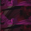 drii.com04