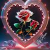 user39523786183882