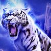eusuf.tamim