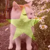 khanhnguyenaov